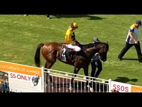 Ascot, 09/01/2015 - Race 4 - LITE'N IN MY VIENS - Fred Kersley & Lucy Warwick