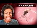 I Created A WORM In PLAGUE INC...