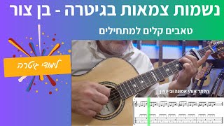 איך לנגן בגיטרה נשמות צמאות | בן צור |