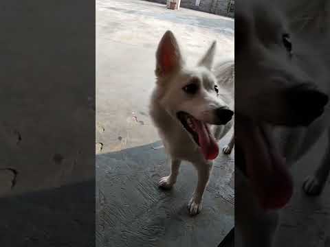 ☺️😊😊😊👌👍