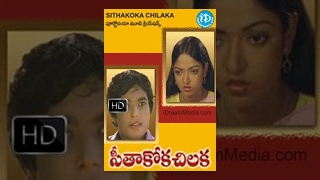 Seethakoka Chilaka Telugu Full Movie  Karthik Arun