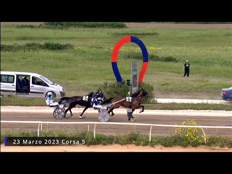Trotto Corse  del 23 Marzo 2023