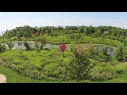 Ajax Promo for Sonia Sampson