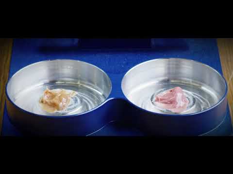 (Chinese) LE Almatek® Grease "Rat Trap" Impact Test