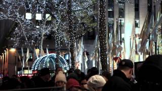 Carol Albert - Carol of the Bells