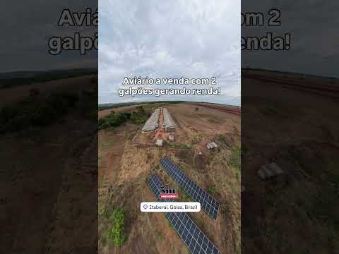 Sitio à venda 3 Alqueires com Galpão Aviário em ITABERAÍ-GO #aviario #granja #agro