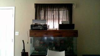 TIFFANY OH SO HARD CINNAMON CHALLANGE