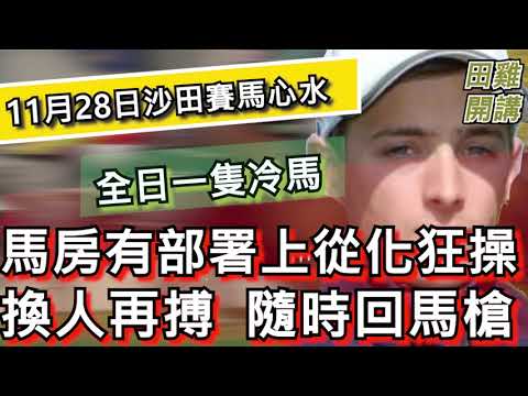 【賽馬貼士】香港賽馬 11月28日 沙田馬場 全日冷馬| 馬房有部署上從化狂操換人再搏  隨時回馬槍