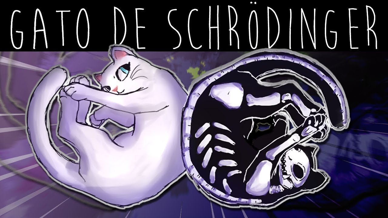 WHAT IS THE SCHRÖDINGER CAT? - Theory
