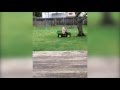 Original Video Girl Runs Over Boy On ATV