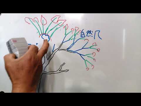 インドライラックの色あせた花は切ったほうがいいでしょうか？夏のサルスベリの剪定について知っておくべきことすべて  庭園