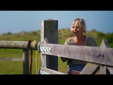 NPO 2 (Netherland) - Continuity (23.11.2024)