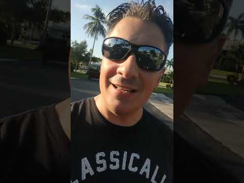 Points or Electronic Ignition in Your Classic Volkswagen? #shorts #shortsvideo
