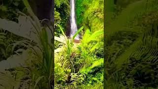 Download lagu CURUG CANTEL pekalongan#shorts #shortsvideo #curugcantel#wisata#indonesia mp3 Download lagu CURUG CANTEL pekalongan#shorts #shortsvideo #curugcantel#wisata#indonesia mp3