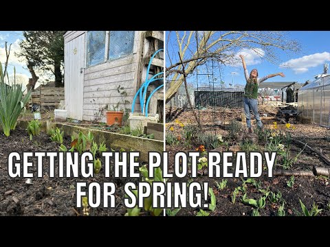 GETTING THE ALLOTMENT READY FOR SPRING / ALLOTMENT GARDENING UK