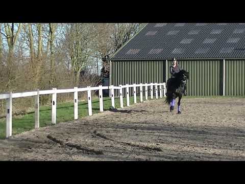 Stal Okkema's Picard