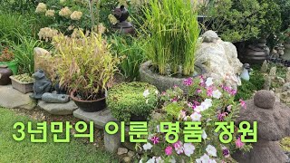 정성으로 이룬 명품, 주부의, 500평의 야생화 정원