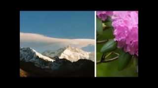 preview picture of video 'National Parks and Wildlife Reserves of Nepal'