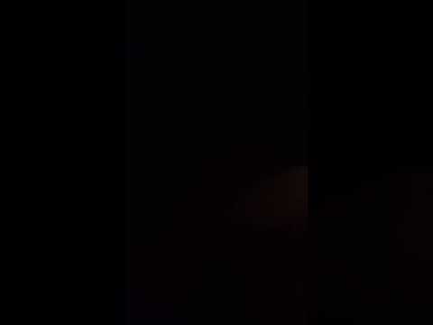 Il nuovi pokémon paradosso dal peggiore al migliore