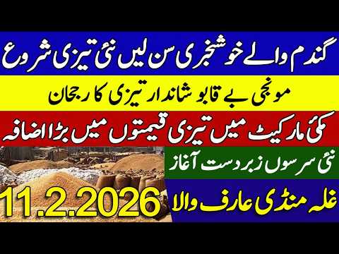 Munji Makki Gundan Sarson Rates Today ! Galla Mandi Arifwala 11/2/2026