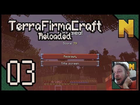 TerraFirmaCraft Reloaded - 03 - Unbelievable Scenes!