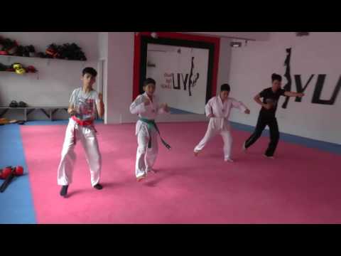 Taekwondo Kids Hyong 1 10