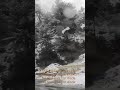 Tere Jiya Hor Disda Lofi Nusrat Fateh Ali Khan Lyrical Video