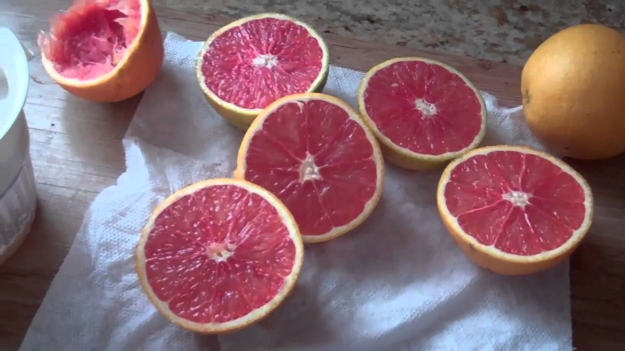 Red Navel Orange