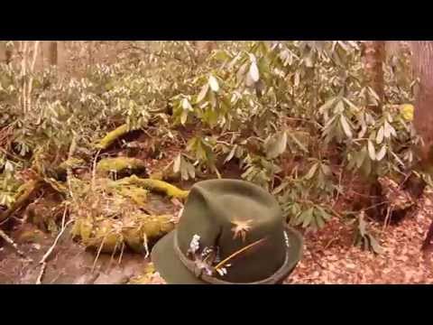 Naked Ground Trail with beautiful moss