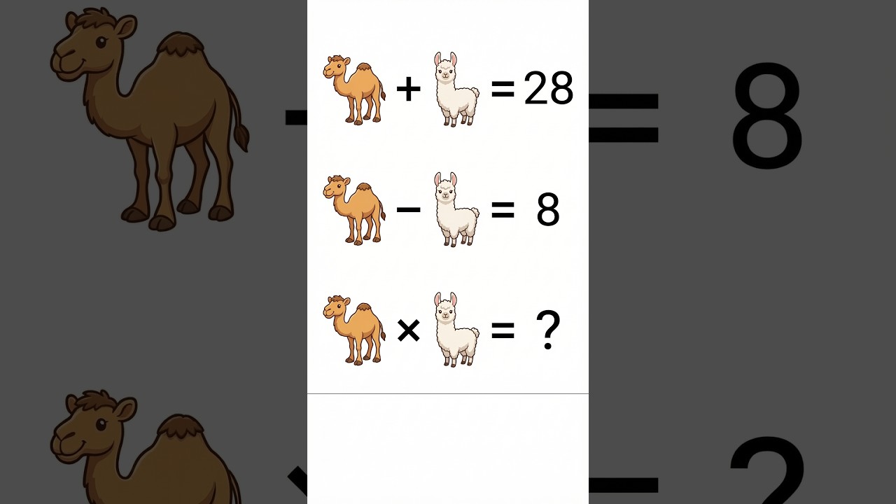 Only for Geniuses! 🐫🦙