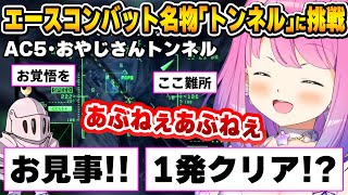 AC名物の難所に初挑戦するも、初心者とは思えない操縦技術でルーナイト達を唸らせるルーナ姫【エースコンバット5/姫森ルーナ/ホロライブ切り抜き】