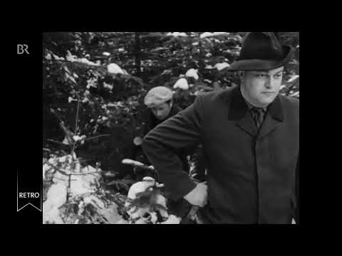 BR Retro: Was kosten Christbäume 1962 in München?