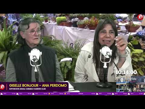 🌸🌿 **¡CARMELO SE LLENA DE FLORES Y COLORES! LLEGA UNA NUEVA EXPOSICIÓN DEL CARMELO GARDEN CLUB**