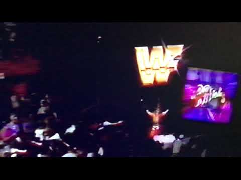 SHAWN MICHAELS WITH HIS BODYGUARD DIESEL VS DAN DUBIEL(JOBBER).....1993