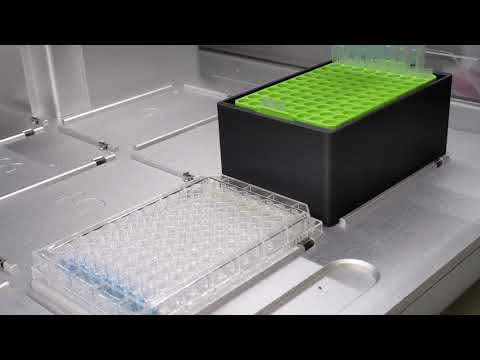 Opentrons OT-2 compatible 3D printed tip rack for TipOne 10 µL / 300 µL tips