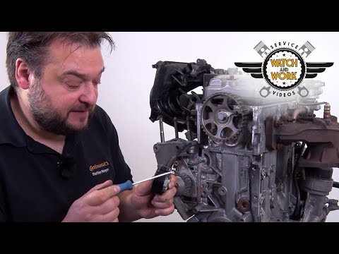 [EN] Watch and Work - Peugeot 206 1.4l 55kW