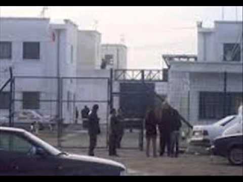 nardi shijakut burgu zi live 2013