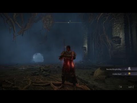 ELDEN RING™ | Ulcerated Tree Spirit | Boss Fight