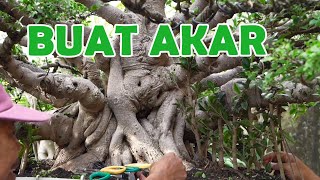 Download lagu 'EASY AND QUICK' HOW TO MAKE ROOTS mp3