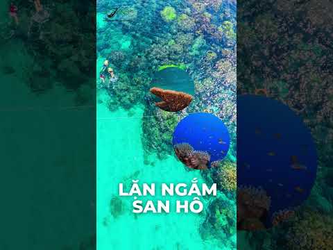 Passeio cano + cáp treo