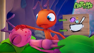 Joey Goes on a Daring Adventure Through Vines and Venus Flytraps to Make Soup for Poorly Boo