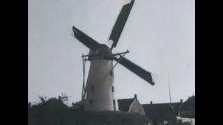 The Netherlands feeds itself: the grain harvest has started | 1942
