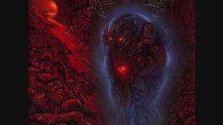 Avulsed - Ecstasy For Decayed Chunks