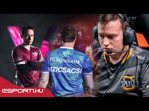 Vizicsacsi Story - A teljes történet