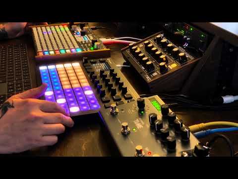 Polyend Synth Polyphonic Desktop Workstation image 7