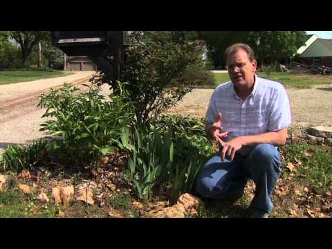 YouTube video about: Can you use weed killer in flower beds?