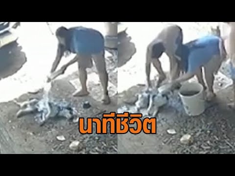 คลิกเพื่อดูคลิปวิดีโอ