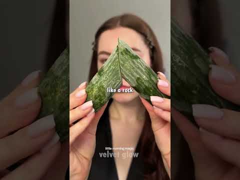 🥶 Frozen Cucumber = Glass Skin! New Beauty Hack!