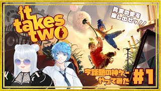【It Takes Two】まさかの人と協力プレイ？　話題の神ゲーを初見プレイ！【柊 睦/Vtuber】