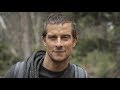 Bear Dick Grylls Journey To PENAS
